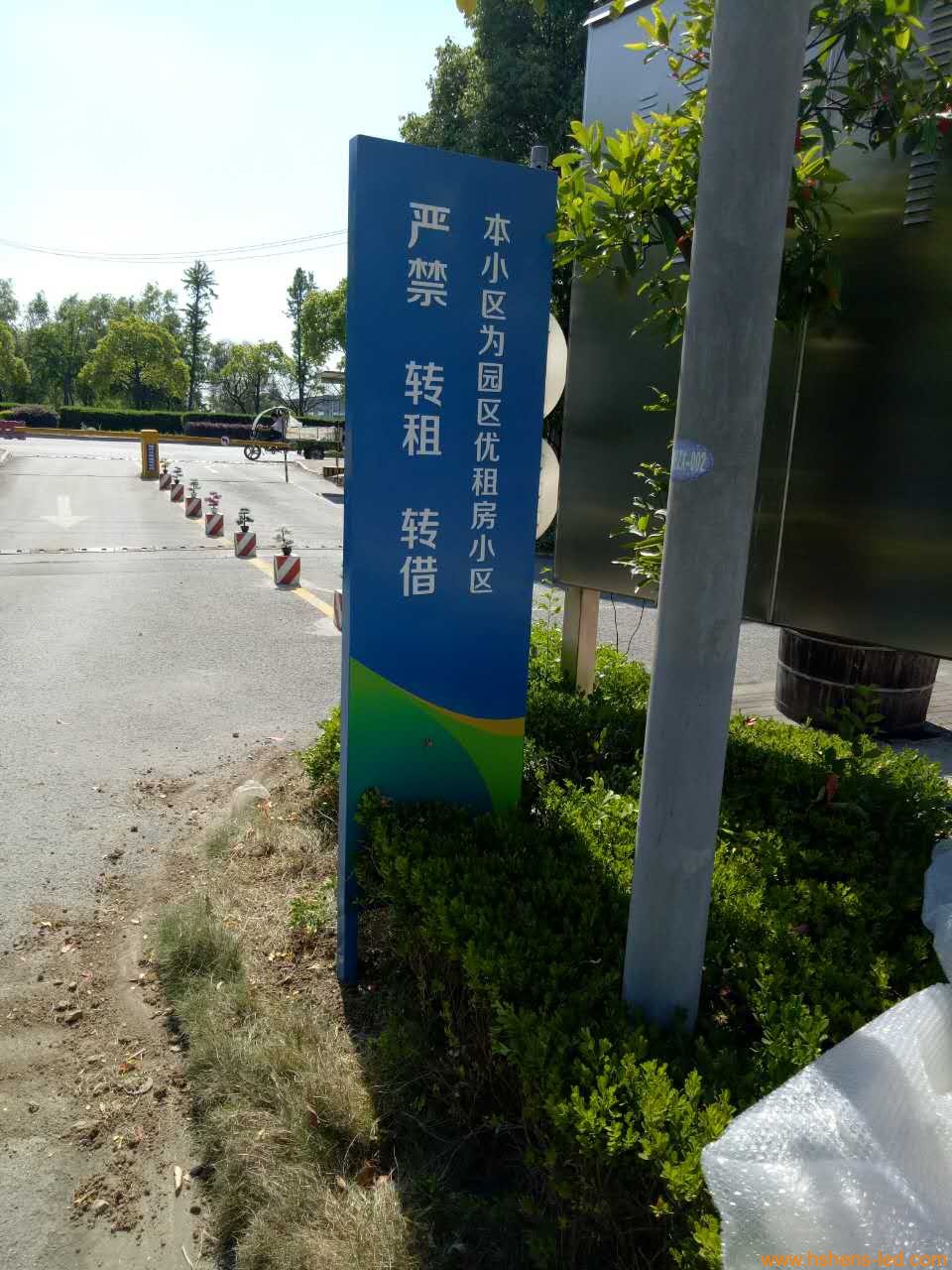 1495592276466010.jpg