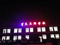【艾尼斯學(xué)?！繕琼敯l(fā)光字效果
