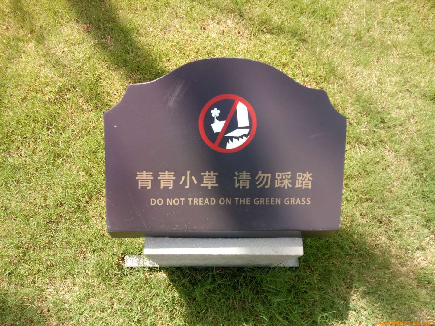 1589506505425692.jpg