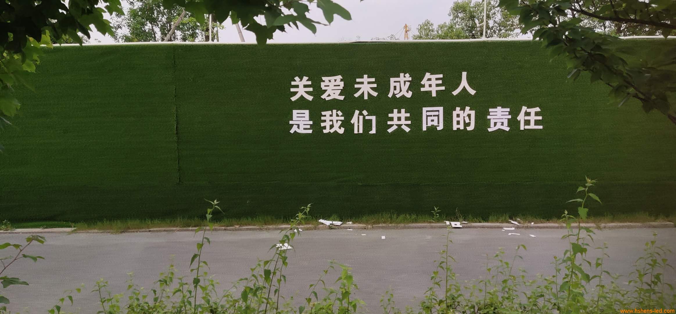 1591433112388819.jpg